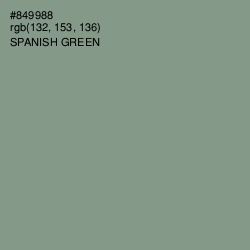 #849988 - Spanish Green Color Image